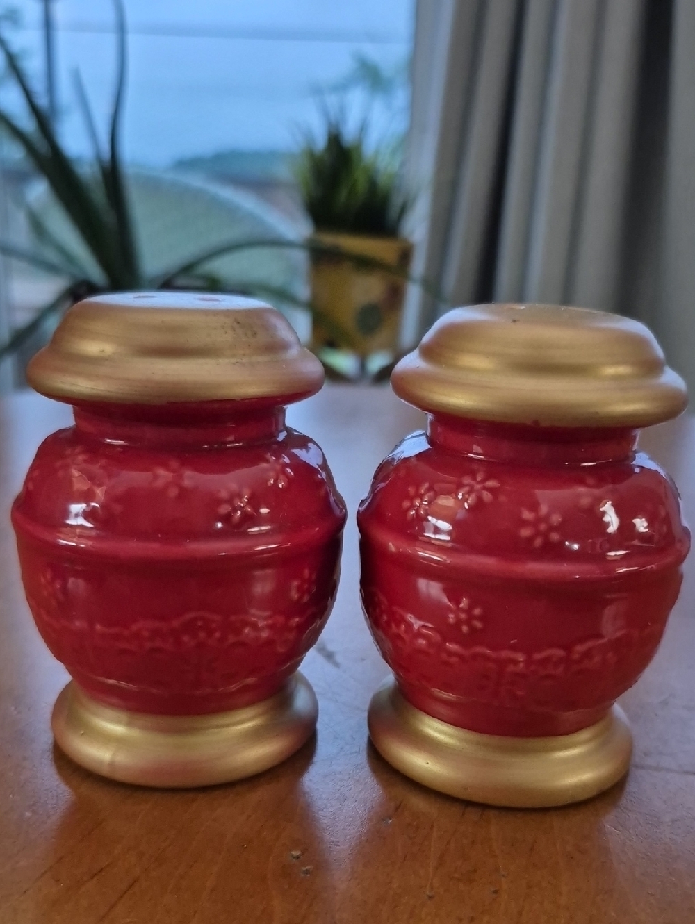 Pioneer Woman Red Ceramic Salt and Pepper Shakers with Gold Accents - Set of 2